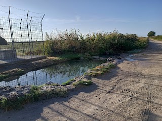 Pozza di acqua calda