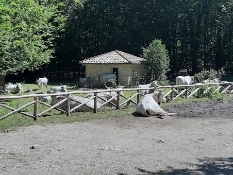 Oasi WWF Montagna di Sopra di Pannarano