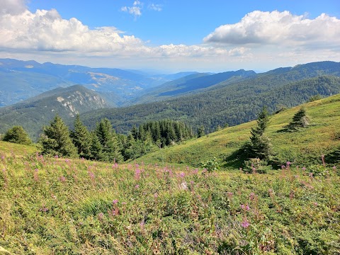 Rifugio Abetone Selletta