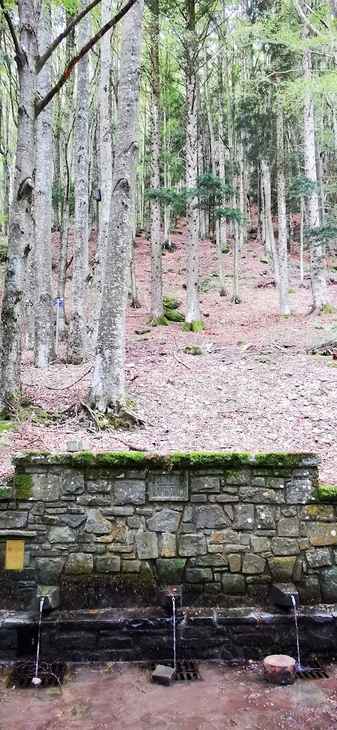 Rifugio Sboccata dei Bagnadori