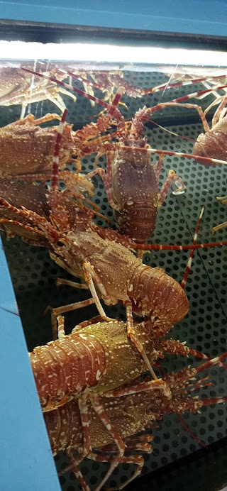 Pescheria I Profumi Della Grotta Azzurra