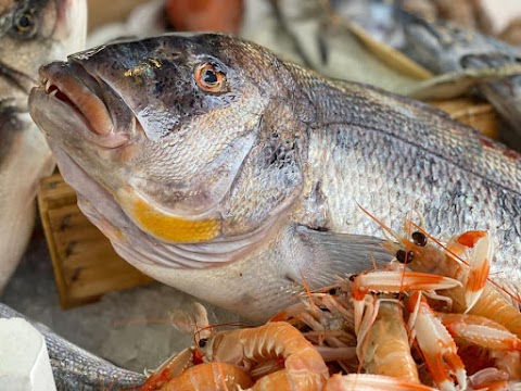 Pescheria Il Paradiso Del Mare