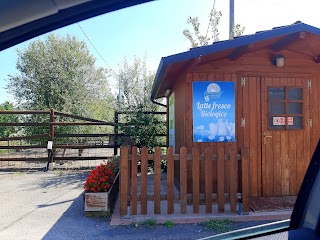 Azienda Agricola Casumaro