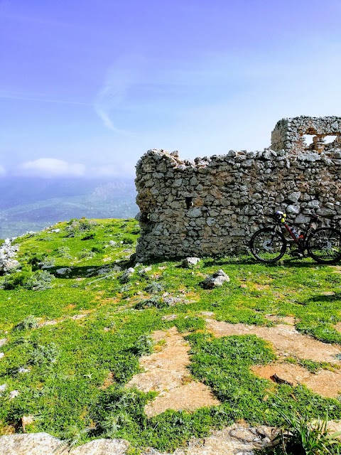 Bosco Di Casaboli