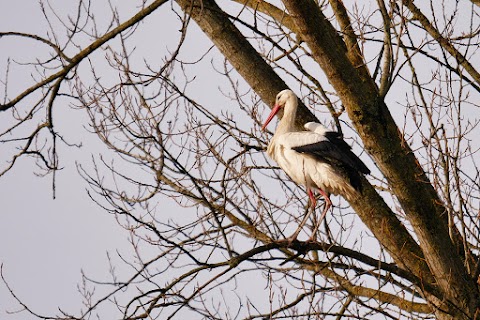 Parco Cascina Venara