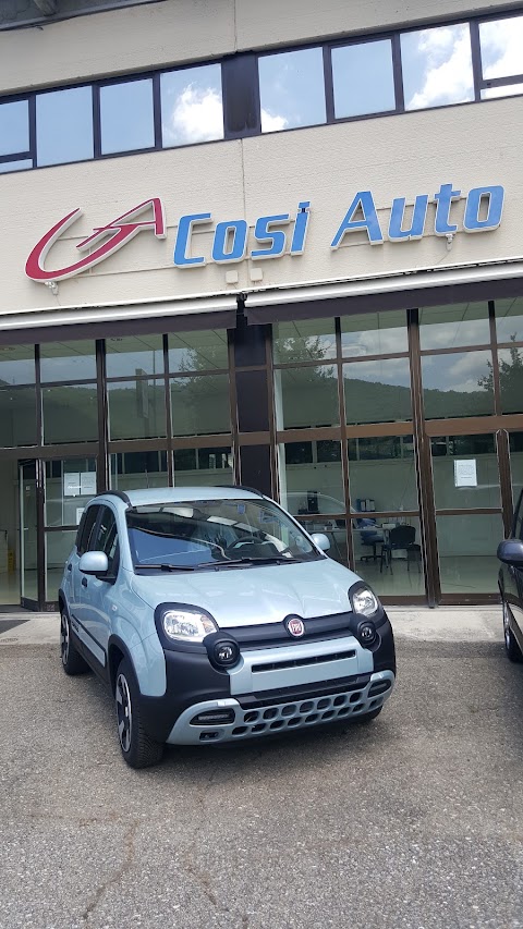 Cosi Auto Di Fabio Cosi Srl