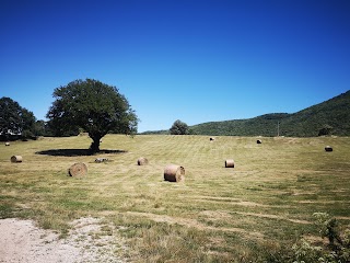 Impianto Sportivo Equestre di Rocca di Papa