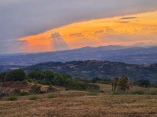 Francesco Mori psicologo, sessuologo, psicoterapeuta