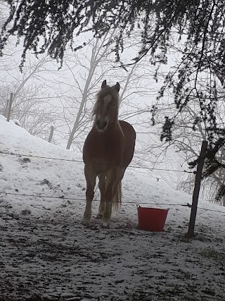 Pony Club La Valle del Bò