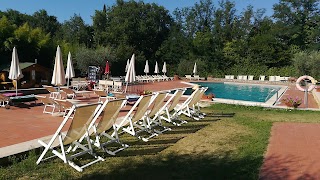 Piscina dell'Hotel Garden