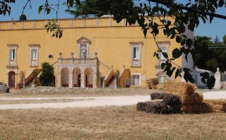 Centro di Ricerca, Sperimentazione e Formazione in Agricoltura "Basile Caramia"