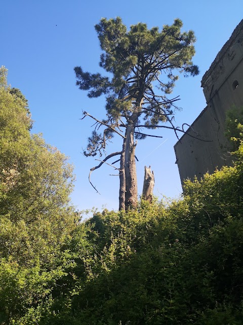 Torre di Sant'Alluccio