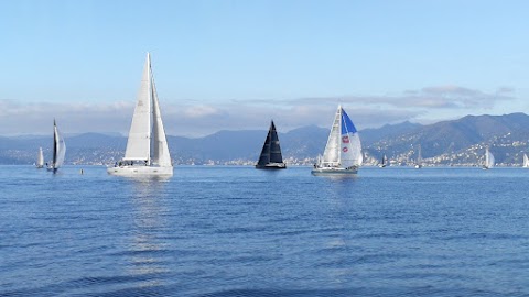 Portofino Sailing