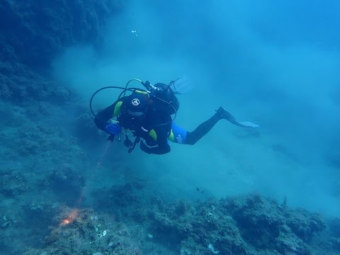 Immersioni subacquee corsi sub Blue Shark