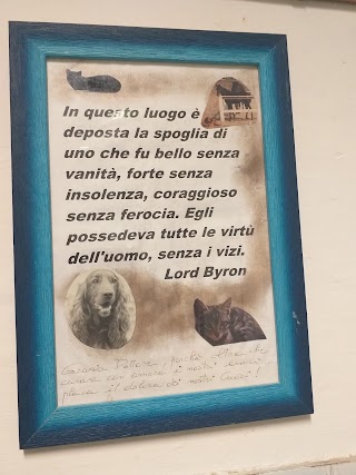 Studio Veterinario Dott. Francesco Buscaglia