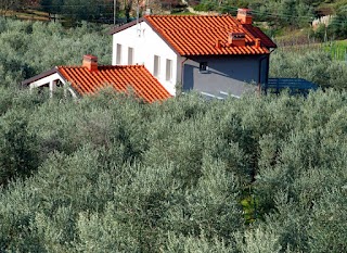 Bio Officina degli Aromi Il Bellini