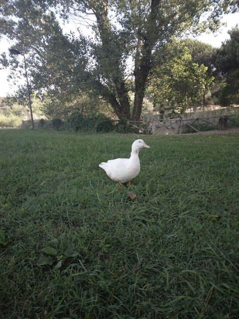 Parco del Canale dello Stagno