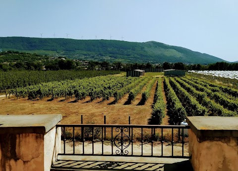 Agriturismo Il Casale del Cavaliere