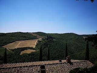 Chianti Hills B&B