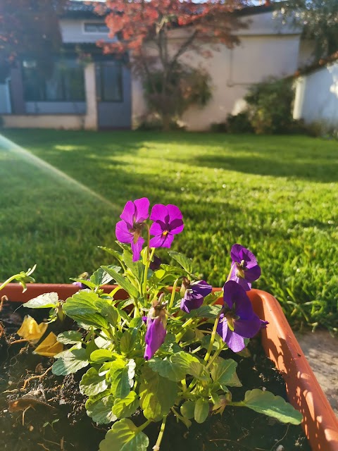 IL COLIBRÌ B&B