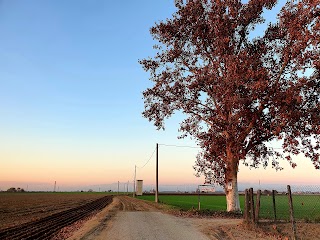 Cantina Seiterre Rizzi Bovolone