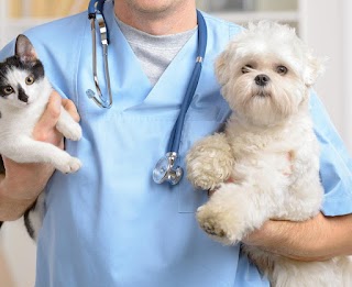 Ambulatorio Veterinario Dr. Franco Grossi