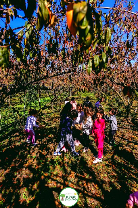 Il Salotto Delle Fiabe - Scuola dell'Infanzia-Asilo Nido-Eventi Outdoor-Campo estivo