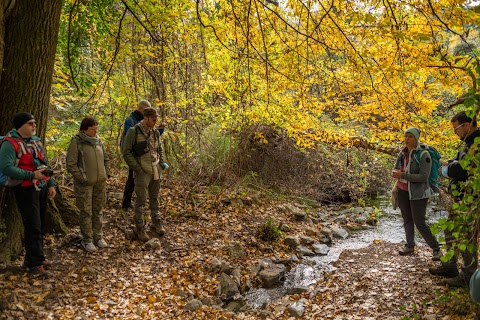 Marta Pieri - Guida Naturalistica