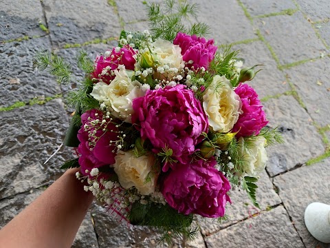 Massimino flowers designer