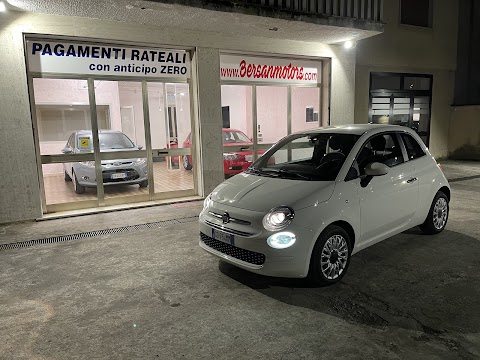 Bersan Motors vendita auto Castagnaro (Verona)