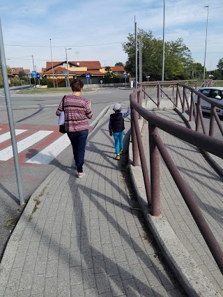 Scuola Primaria E Dell'infanzia Mazzucchelli