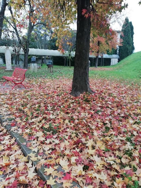 Centro di Attività Espressive Villa Pacchiani