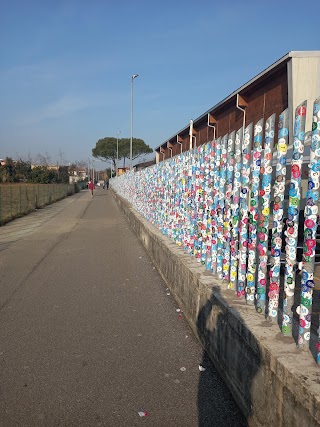 CUS - Centro Universitario Sportivo Bergamo