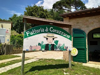 Fattoria di Corazzano