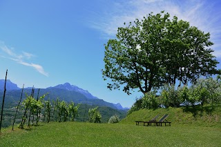 Casa Vacanze Serenella