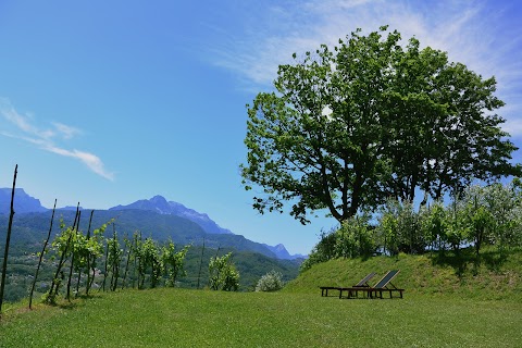 Casa Vacanze Serenella