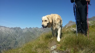 Colle della Borra