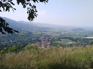 Bosco comunale Mario Tonin