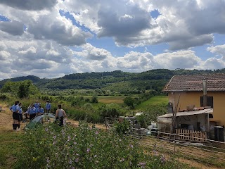 Fattoria Didattica Campo di Contra