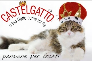 CastelGatto