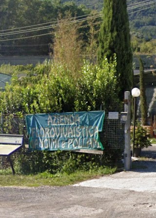 Azienda Agricola Florovivaistica