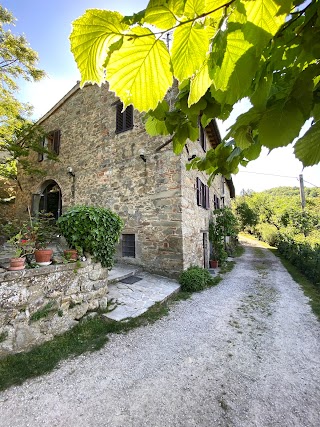 Agriturismo Attulaio