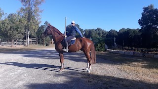 Maneggio Equitazione Rosamarina