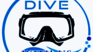 DIVE WITH US