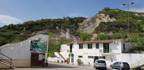 Associazione Sportiva Dilettantistica Napoli Calcio Femminile