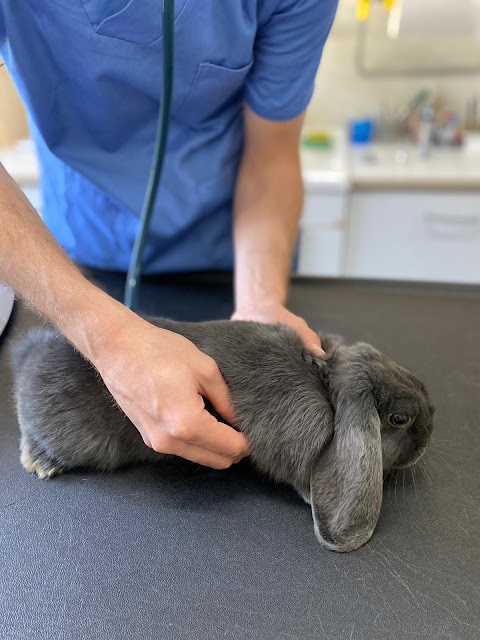 Ambulatorio Veterinario del Neirone di Dott.ssa Anfosso e Dott. Delesalle