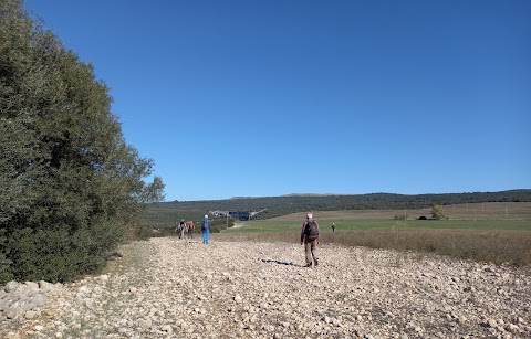 Centro visite di Pianelle, Montescaglioso (MT)