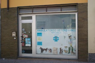 Ambulatorio Veterinario Pertusella Dr. Basilico