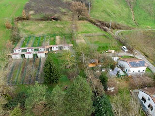 Pensione per cani La Quercia dei Falchi