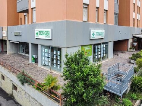 Affiliato Tecnocasa Studio Imola S.A.S.